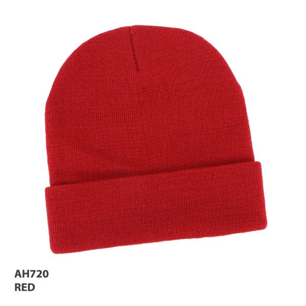 Beanie | lot of 10 Embroidered